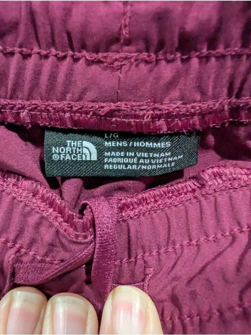 The North Face Wander 2.0 Joggers Men's Sz L Flash Dry Tech Deep Purple Outdoor